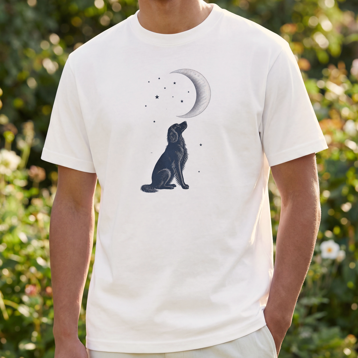 Irish Setter Moon Gazer