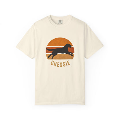 Retro Sunset Chessie