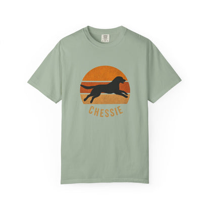 Retro Sunset Chessie
