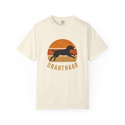 Retro Sunset Drahthaar
