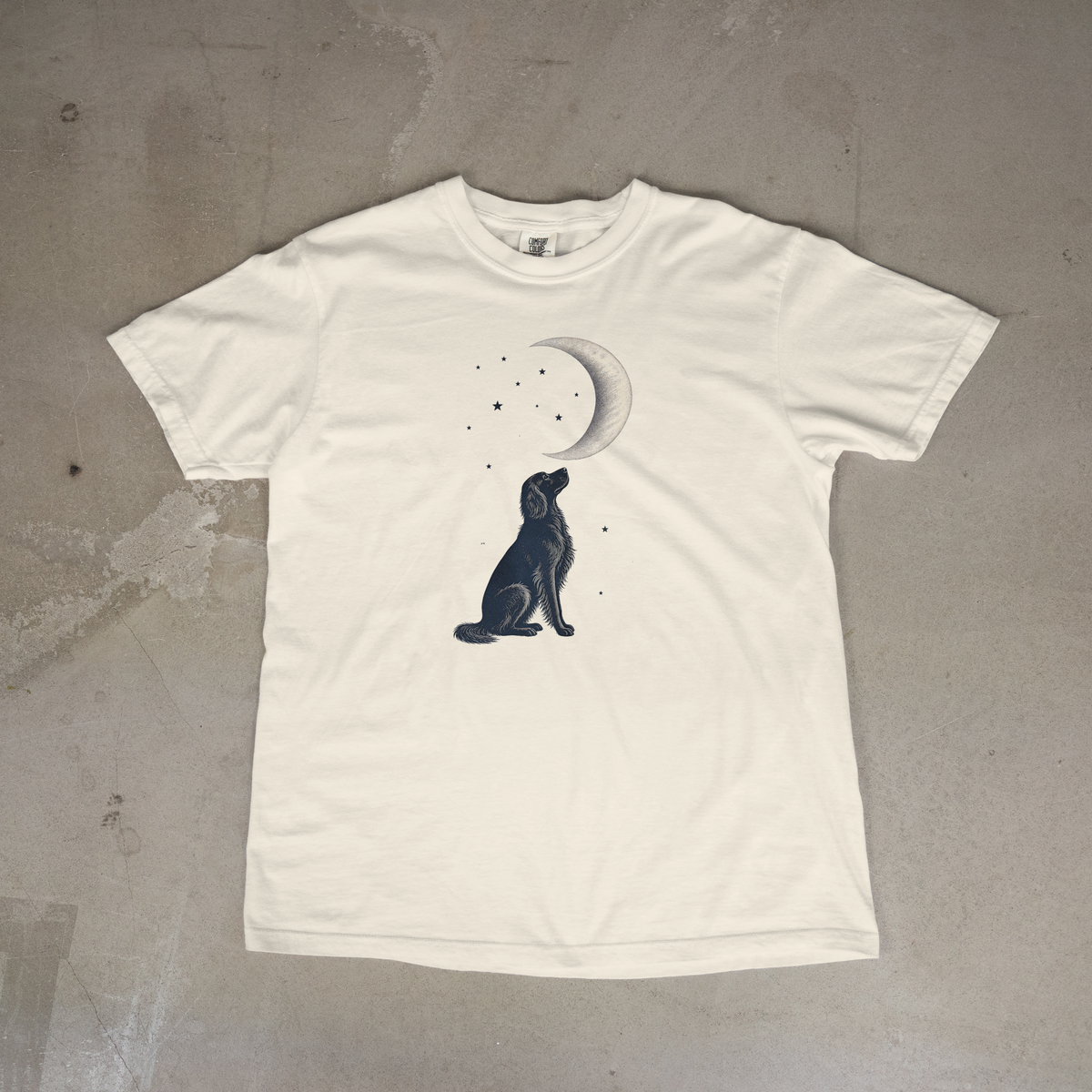 Irish Setter Moon Gazer