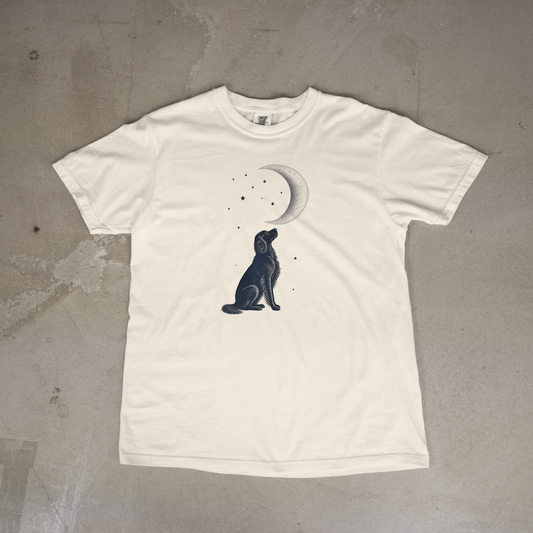 Irish Setter Moon Gazer