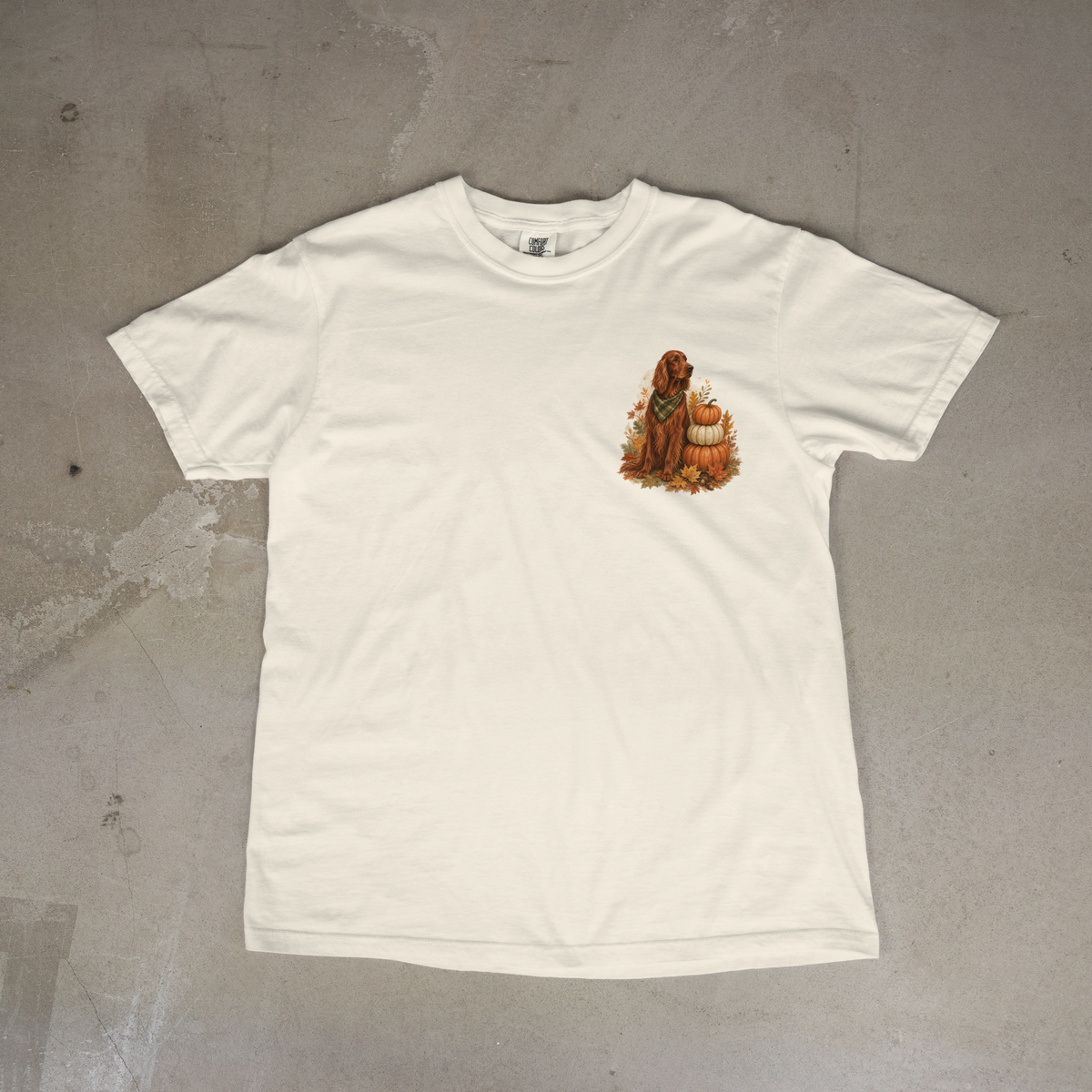 Irish Setter Pumpkin Patch