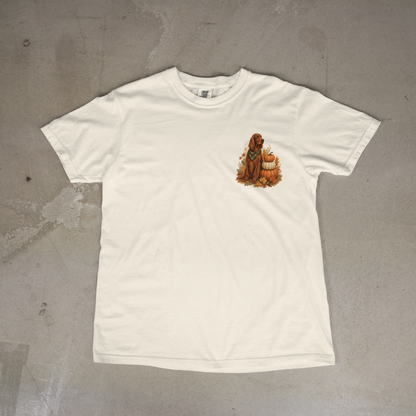 Irish Setter Pumpkin Patch