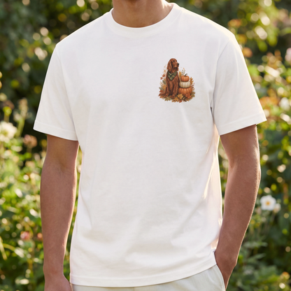 Irish Setter Pumpkin Patch