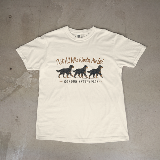 Not All Who Wander Are Lost
