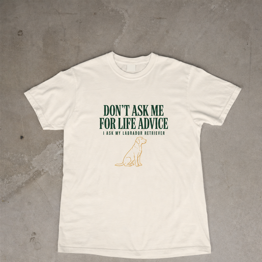 Don't Ask Me For Life Advice