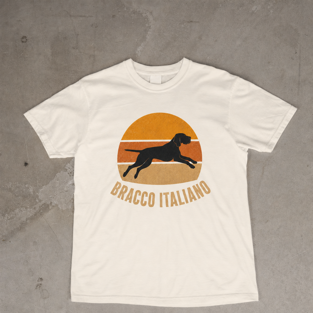 Retro Sunset Bracco Italiano