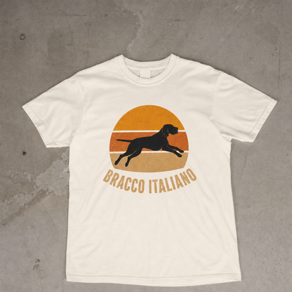 Retro Sunset Bracco Italiano