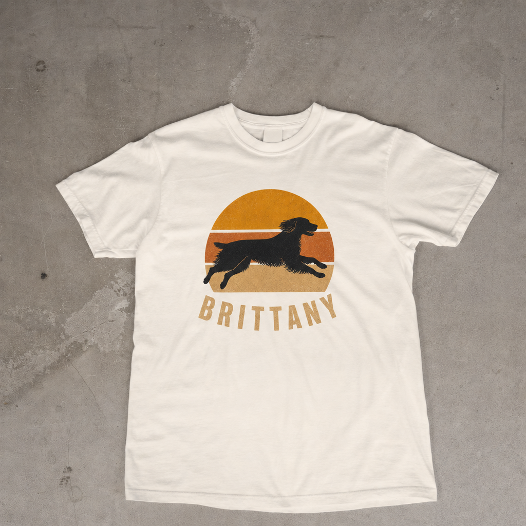 Retro Sunset Brittany