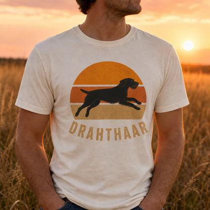 Retro Sunset Drahthaar