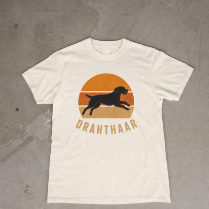 Retro Sunset Drahthaar