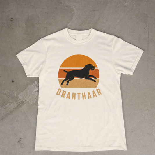 Retro Sunset Drahthaar