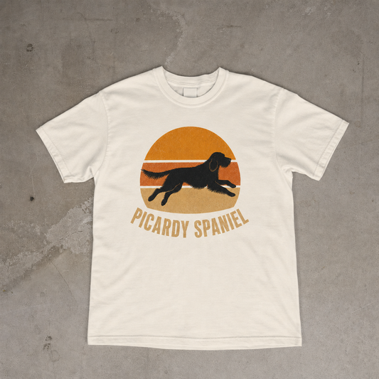 Retro Sunset Picardy Spaniel