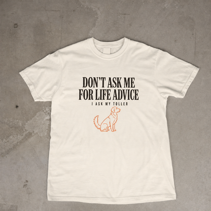 Don't Ask Me For Life Advice