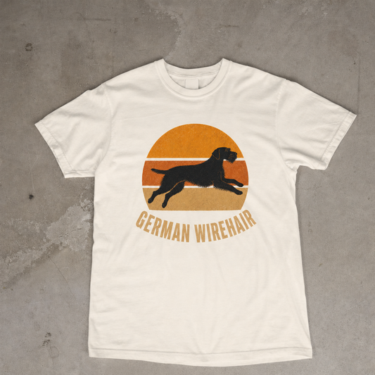 Retro Sunset German Wirehair