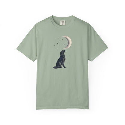 Irish Setter Moon Gazer
