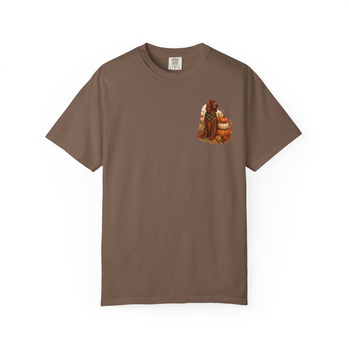 Irish Setter Pumpkin Patch