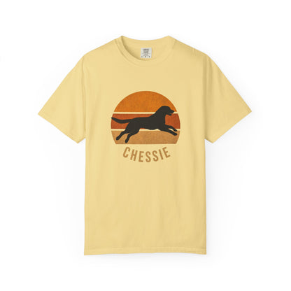 Retro Sunset Chessie