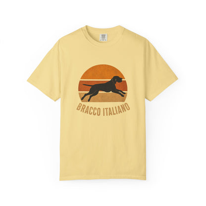 Retro Sunset Bracco Italiano