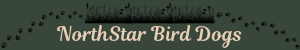 NorthStar Bird Dogs